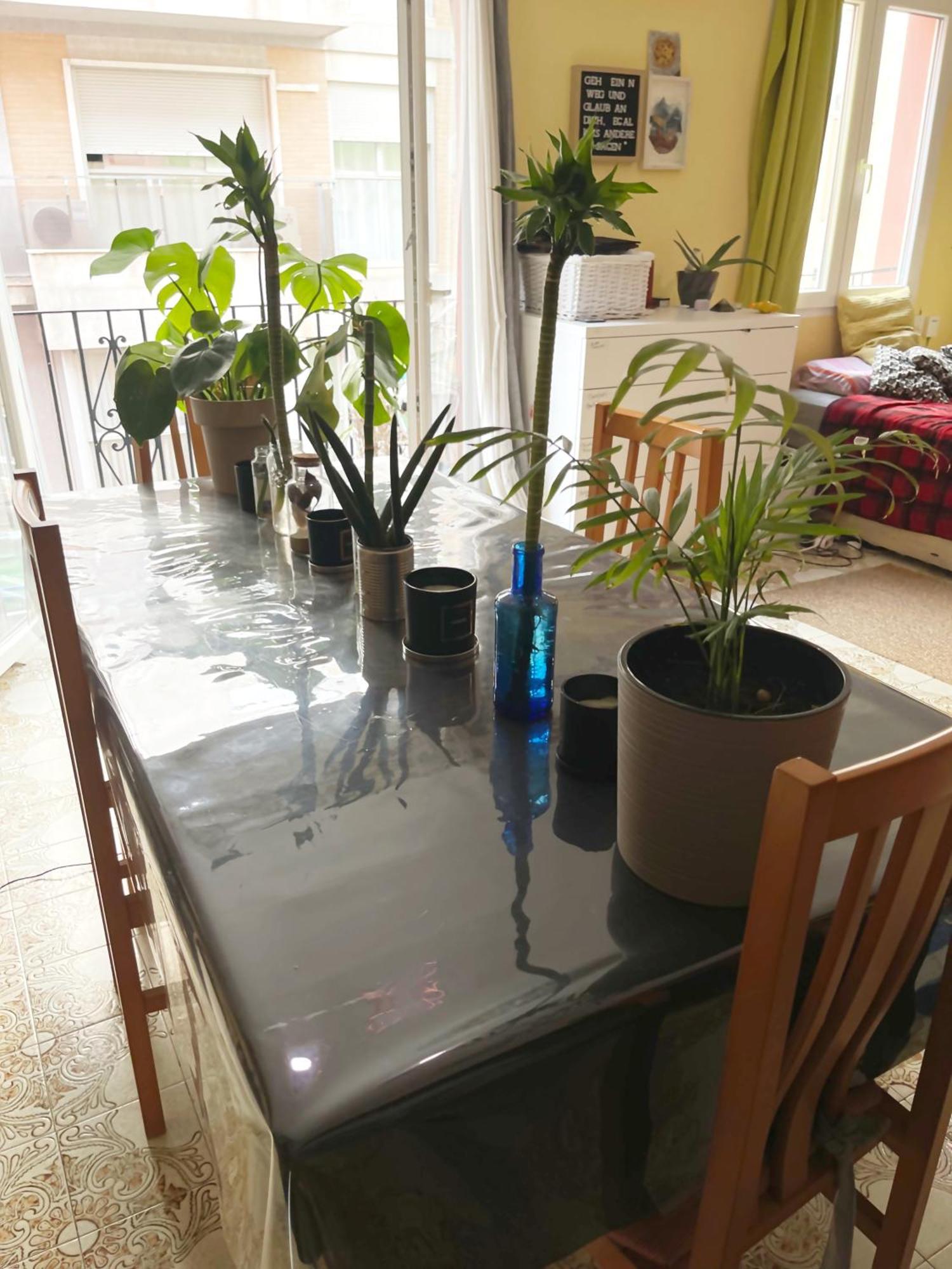 Gemuetliches Zimmer "Gold" Fuer 2 Personen Und Katzenliebhaber Valencia Bagian luar foto
